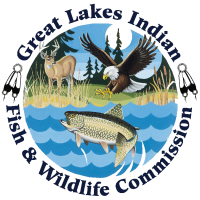 Great Lakes Indian Fish & Wildlife   Commission (GLIFWC)'s Logo'